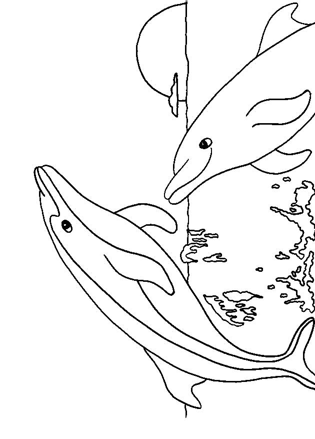 paint by numbers winter coloring pages - photo #41