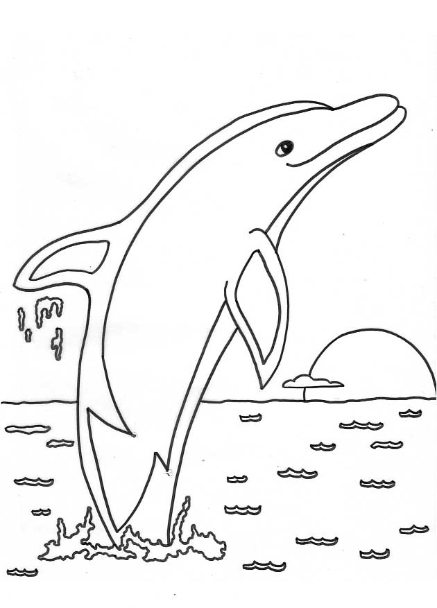 Dolphin Coloring Pages - Dolphin Facts and Information