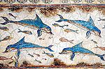 Akrotiri Dolphins