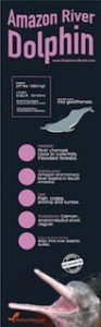 Amazon river dolphin infographic