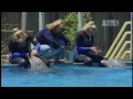Secrets of Dolphin Swimming
